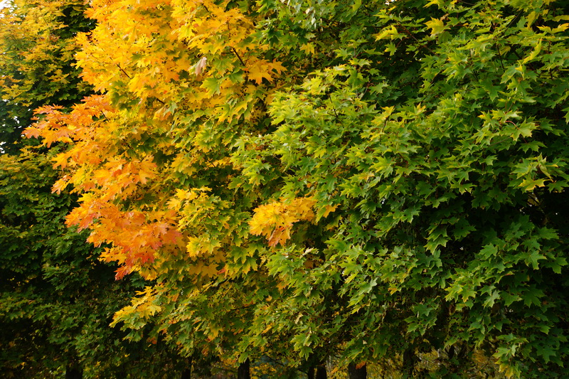 Belarus, Autumn